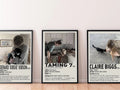 BOT Taming 7 design